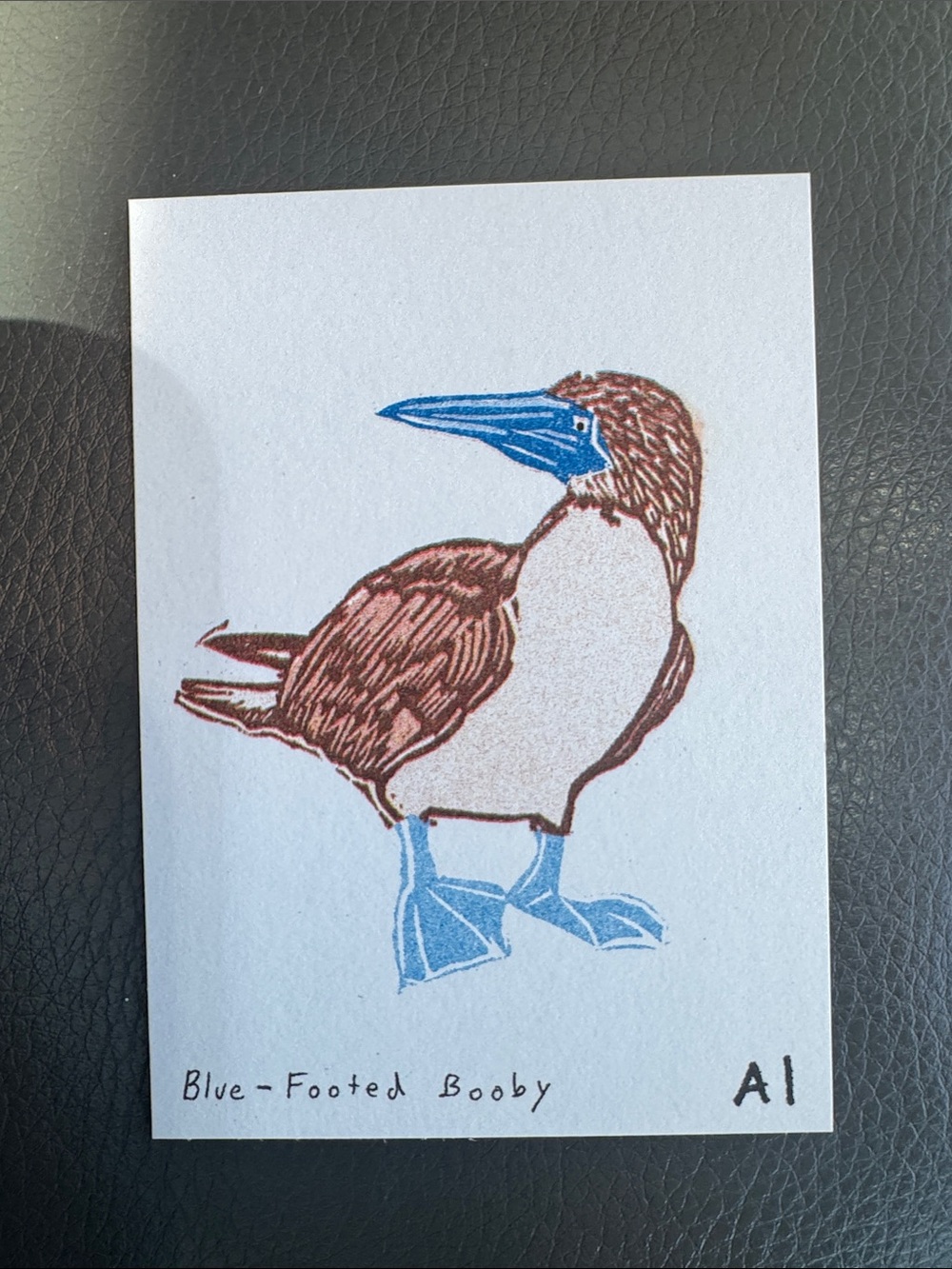 Inciardi - Blue-Footed Booby - Mini Print